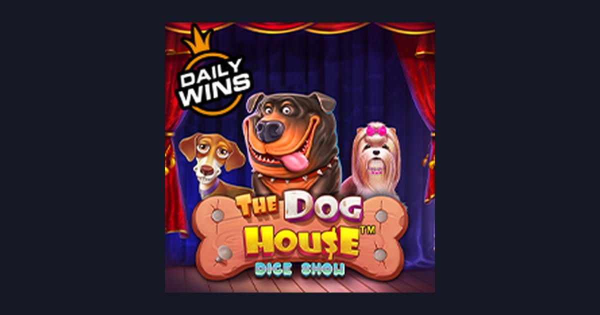 Trik Auto Maxwin Main The Dog House Dice Show untuk Modal Minim