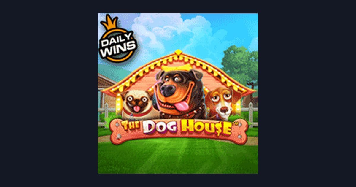 Trik Auto Maxwin Bermain The Dog House dengan Modal Kecil